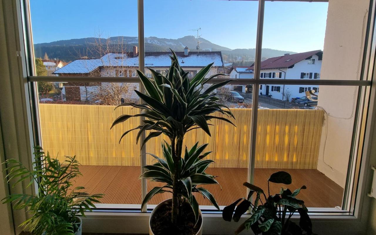 Ferienwohnung Bergliebe 네쎌방 외부 사진